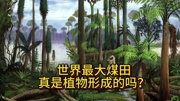 厚达900米,面积18万平方公里!世界最大煤田真是植物形成的吗?