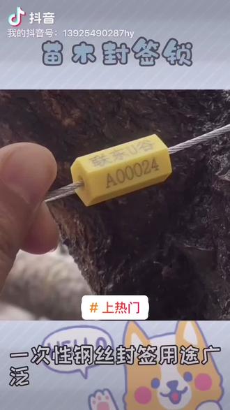 #上热门 #上热门园林苗木记号锁颜色多种供选择