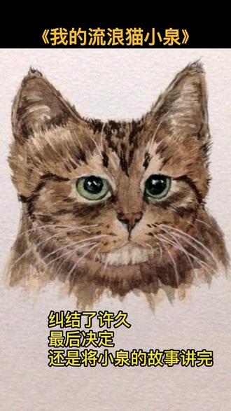 这是流浪猫小泉最后的故事#流浪猫 #关爱流浪猫