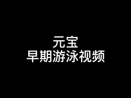 #金毛 元宝早期也害怕下水,游泳是一个过程,大家不要急,慢慢来~(不建议大家直接把狗狗丢到水里)