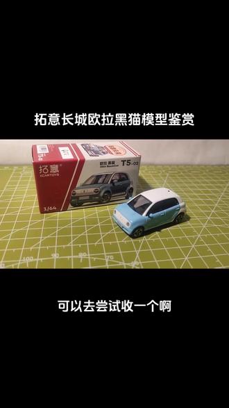 拓意长城欧拉黑猫64比例模型鉴赏,很早之前录的了,我都忘了手指头为啥点来点去的看着想剁掉……#汽车模型 #模型 #模型车