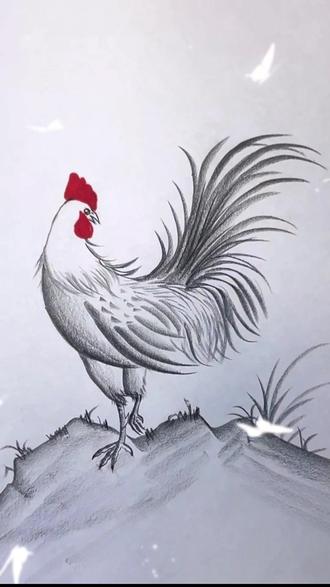 大公鸡画法,公鸡解梦#跟着抖音学画画 #炭笔画 #一学就会系列 #绘画过程分享 #儿童画