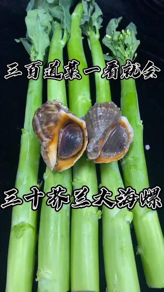 海螺搭配芥兰最新吃法!#我是美食创作者
