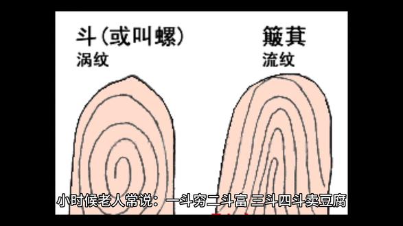 手指上的斗和簸箕代表什么?