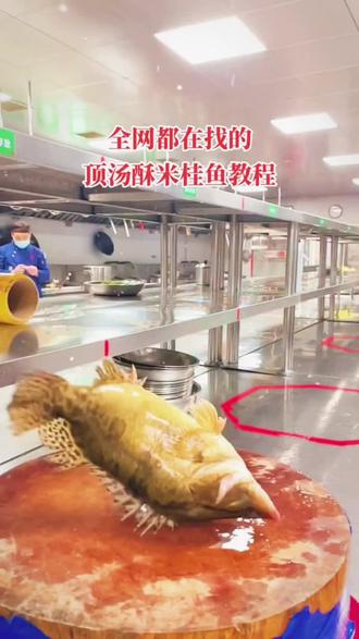 全网最火的《顶汤酥米桂鱼》教程……