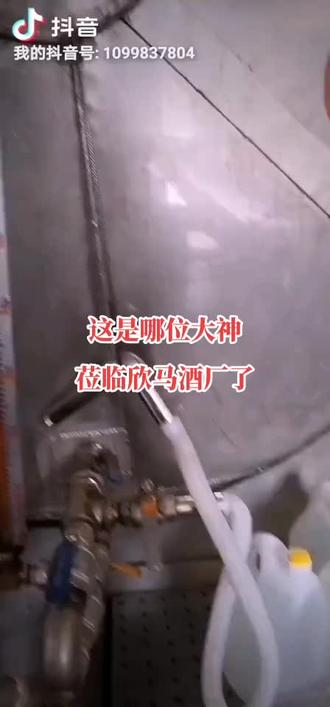 风太大了,够了够了#纯粮酿造 #传统工艺酿酒 #纯粮白酒