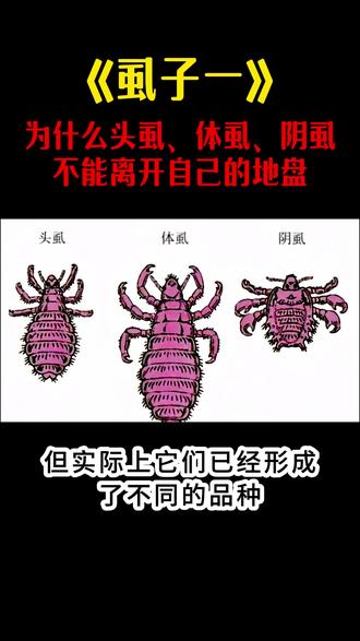 头虱、体虱和阴虱:不同品种的生物 同样是虱子,为什么头虱、体虱、阴虱不能离开自己的地盘#虱虫科普 #科普 #虱子 #头虱 阴虱虫
