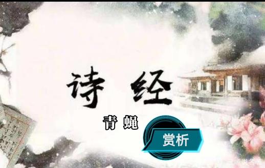 《诗经》赏析之《小雅•青蝇》#传承传统文化