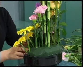 养花插画阶梯设计技巧#插画 #养花 #家庭园艺