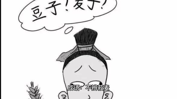 不辨菽麦#不辨菽麦#成语 #成语故事