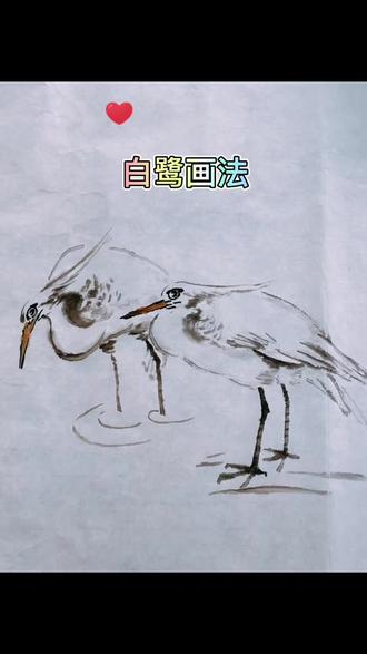 #国画花鸟 白鹭 喜欢的朋友点点赞+关注