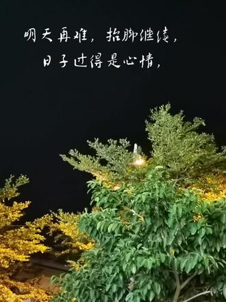 明天再难抬脚继续日子过得是心情