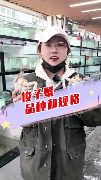 视频中的帝王蟹你发现了吗?#海鲜原产#海鲜原产地 #海鲜 #野生梭子蟹