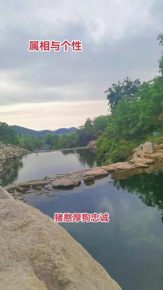 生肖与个性,准不准?#生肖文化 #12生肖 #天烛峰景区