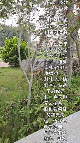 潮剧港版《赵少卿》选段。美丽乡村~汕头外砂蓬中……