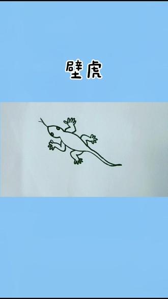 夏天到了,小壁虎#简笔画#抖音小助手