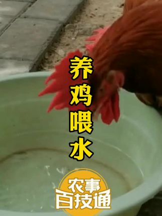 三农洞察