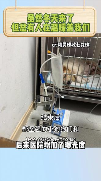 狗妈妈平安,狗宝宝健康,阿姨减轻了负担,网友不用捐款,医院有了知名度
我们会想到的最好结果! #爱心 #故事分享 #狗狗的日常 #世界上不能没有小狗