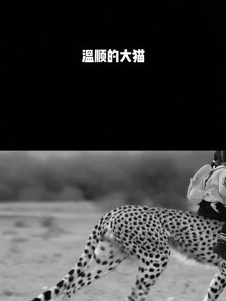 和 @波妞波力 一起 #合拍 感受一下吧