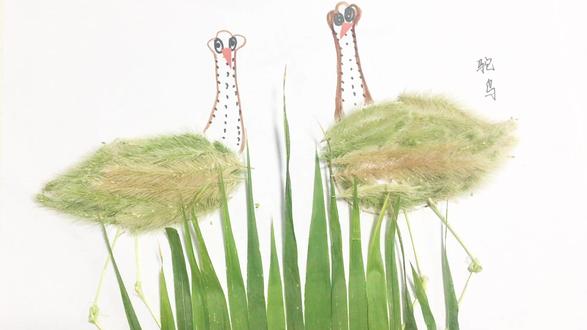 用狗尾巴草做鸵鸟教程