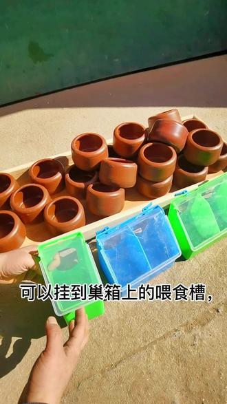 可以挂在巢箱上的喂食槽#鸽具用品 #喂食器