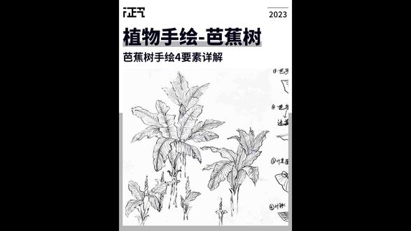 国美考研 | 植物手绘-芭蕉树
#国美考研 #中国美术学院考研 #艺术考研 #艺术生 #征艺国美考研(官方)