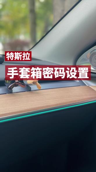 特斯拉=保险箱?特斯拉手套箱密码设置#特斯拉 #用车知识 #都是好车