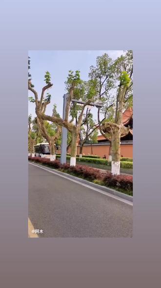 苏州话姆妈(妈妈)的由来