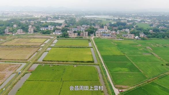 会昌周田上营村#田园生活 #农业种植 #农村生活