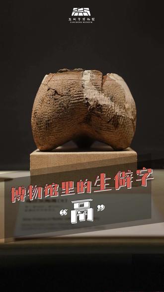 趣味科普|博物馆里的生僻字——“鬲”#生僻字