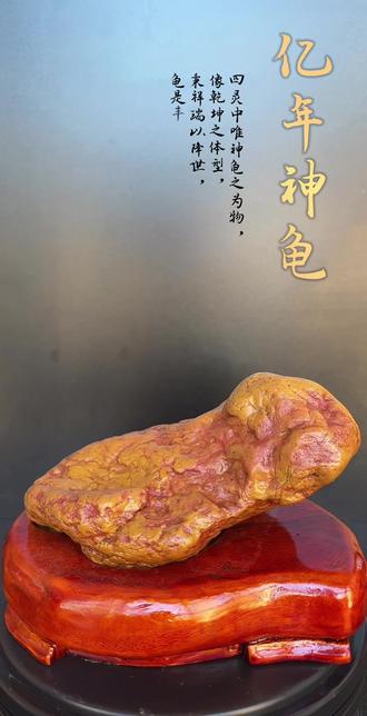 四灵中唯神龟之为物,像乾坤之体型,秉祥瑞以降世,龟是万寿无疆的象征,祥瑞的吉祥物。寓意着福气,长寿与吉祥!#美石分享 #龟 #以石会友