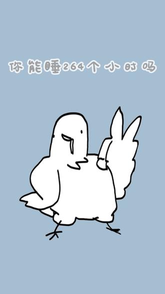 你能睡264个小时吗#冷知识 #涨知识 #dou是知识点