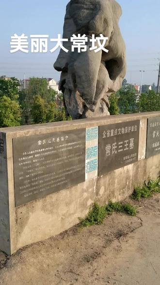 天山雪莲在抖音记录美好生活20210805 - 抖音