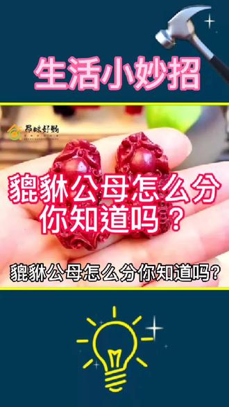 #创作灵感 你会分貔貅公母吗?貔貅公母有什么讲究吗?我告诉你#日常生活小窍门 #昂咪好物分享