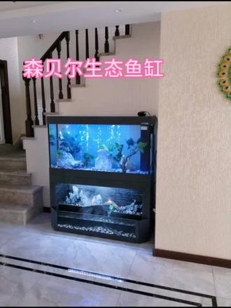 春暖花开,奔你而来,森贝尔生态鱼缸,进店下单,均有精美礼赠送#造景鱼缸 #家居好物 @抖音小助手