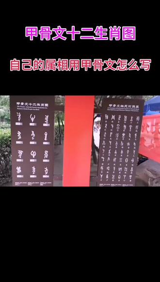 十二生肖用甲骨文怎么写?不知道了吧#这视频有点料