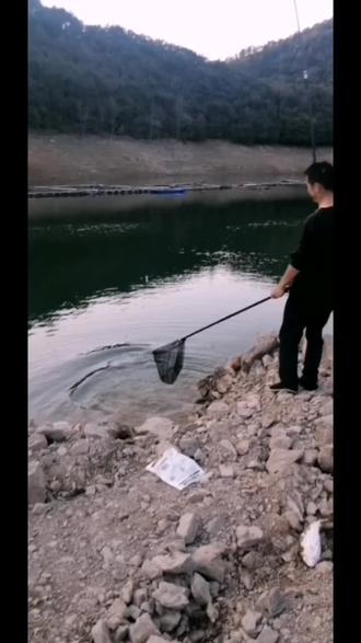 水库2022年收费新规定
岸钓每场8小时,收费80元
禁钓花白鲢
筏钓每天日夜二场,每场8小时,收费150元
路亚每场4小时,收费180元
钓花白鲢每场4小时,收费200元,其它鱼类不限
先付费后进场,不得超时间,超过半小时即按一小时加收费用。
另外水库优惠充卡,具体细则如下
一,岸钓卡1800元,60场,每场8小时(限岸钓,禁钓花白鲢),
二,筏钓卡5888元,钓60场,每场钓8小时,(禁钓花白鲢)
三,路亚卡4800元,钓60场,每场4小时,(禁钓花白链)
四,钓花白鲢4880元,钓40场,每场4小时,
五,充卡限本人使用,充值后不退还,用完即止。
钓场为大家准备好精美充氧活鱼袋,保证鱼获鲜新,送亲朋好友,送领导,既实惠又有档次,近距离的可以邮寄到家。
让大家的亲朋好友都可以吃到真正高品质的水库有机鱼。
厦城水库钓场2022年2月2号
联系13575688988
17336720633雷公
微信同号