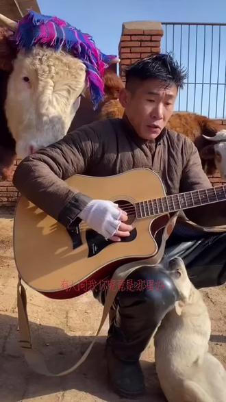 #吉他 #发型 正宗“牛犊子舔”发型😂