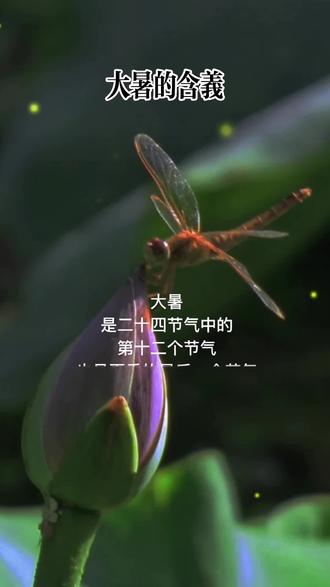 #大暑节气 #大暑的含义#大暑是二十四节气中第十二个节气,也是夏季的最后一个节气,大暑节气正值“三伏天”里的“中伏”前后,是一年中日照阳光最猛烈最炎热的时节“湿热交蒸”也在此刻达到顶点。
