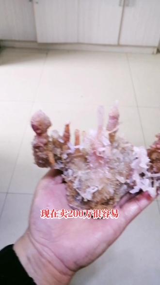 喜得天然钟乳石一枚!今年收到最满意的一件藏品!麻烦不要在评论区出价让我卖,谢谢,欣赏欣赏就可以了~~~#收藏爱好者 #奇石欣赏 #真材实料