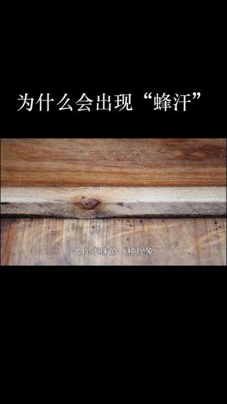 蜜蜂箱内为什么会出现“蜂汗”?你会怎么处理?#养蜂技术分享 #蜜蜂养殖 #抖音小助手 #蜂博士