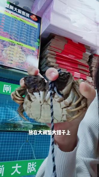 教大家怎么捆大闸蟹😅#阳澄湖正宗蟹 👻