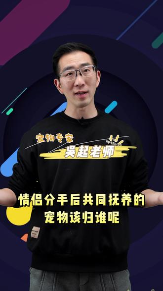#涉宠法律问题 情侣分手后共同抚养的宠物该归谁?吴起老师邀法律专家来帮您解答