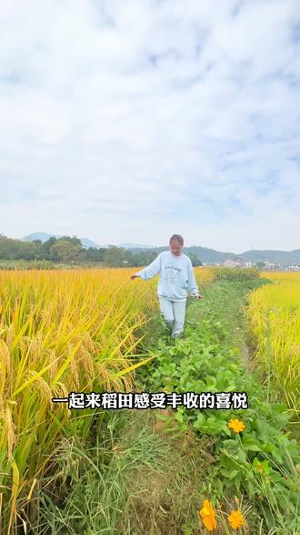 吃大米选择我们横村杜预村的稻鸭共生米#同城美食 #乡村味道 #抖音美食推荐官 #乡村振兴 #桐庐美食 @横村镇杜预村股份经济合作社 @姚兴军