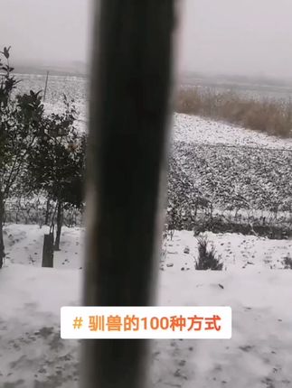 #驯兽的100种方式 @哈弗神兽 #带你看雪 #农村雪景 #老家的雪 回家堆雪人有人吗？
