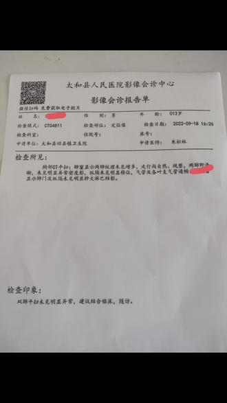 求求各位帮我解释一下,“肺野”是人身体哪个器官啊?