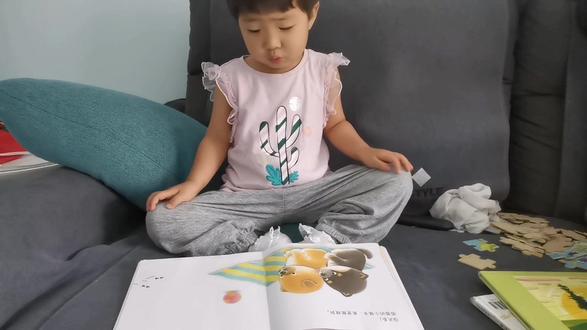 小雨点讲绘本之《小毯子哪儿去了》#绘本阅读 #亲子阅读