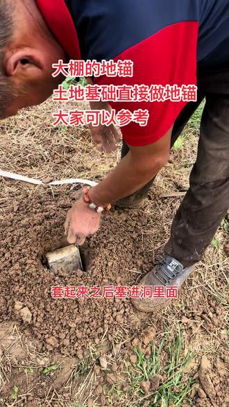 大棚的地锚,土地基础直接做地锚,大家可以参考!#养殖 #三农 #河南牧丰温室大棚