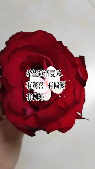希望这个夏天有惊喜有偏爱有例外