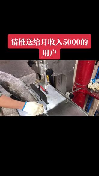 今天表演徒手分割大白鲨🦈#杀鱼技术 #护航高考2021